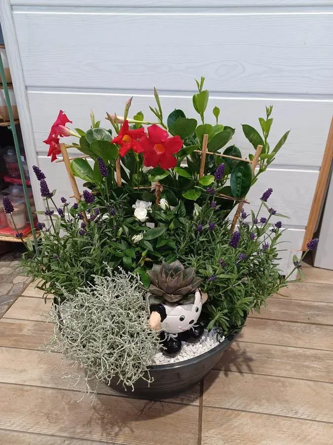 fleuriste bouquets (7)