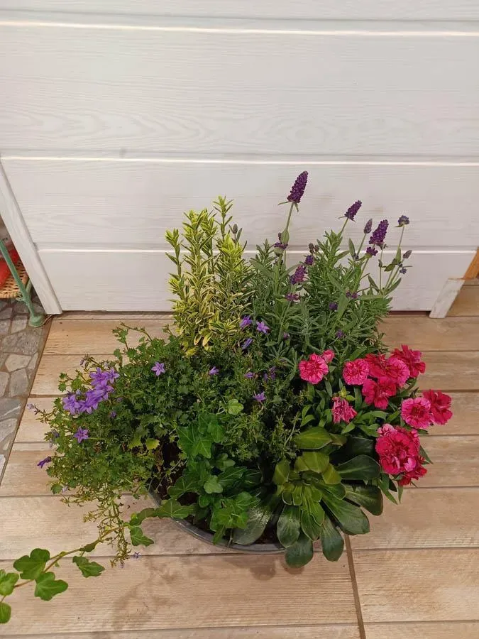 fleuriste bouquets (6)